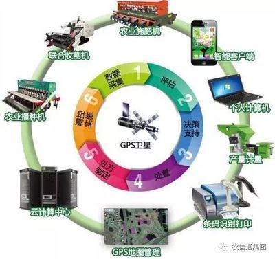 农业大数据赋能现代农业 计算机应用驱动下的跨越式发展